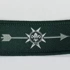 Silver Arrow