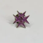 TSAM Lapel Pin
