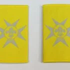 Assistant Cub Scout Leader