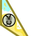 Pioneer Badge